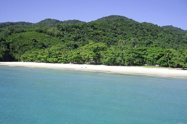 The coastline of Lopes with green rainforest behind 