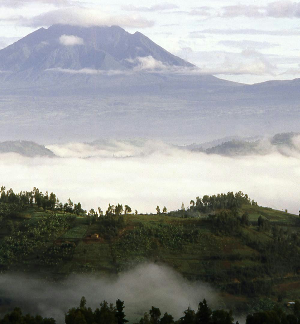 A volcano in the cloudy horizon in Volcanoes National Park, Rwanda