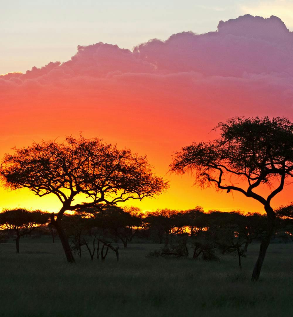 A sunset in the horizon of Serengeti National Park