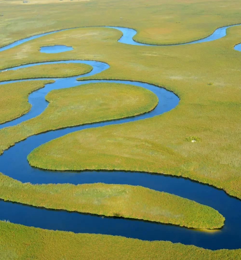 A winding river in Okavango Delta