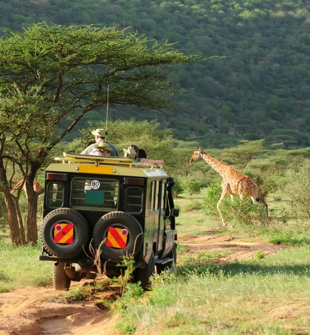 Park ranger admiring a giraffe in Kruger National Park