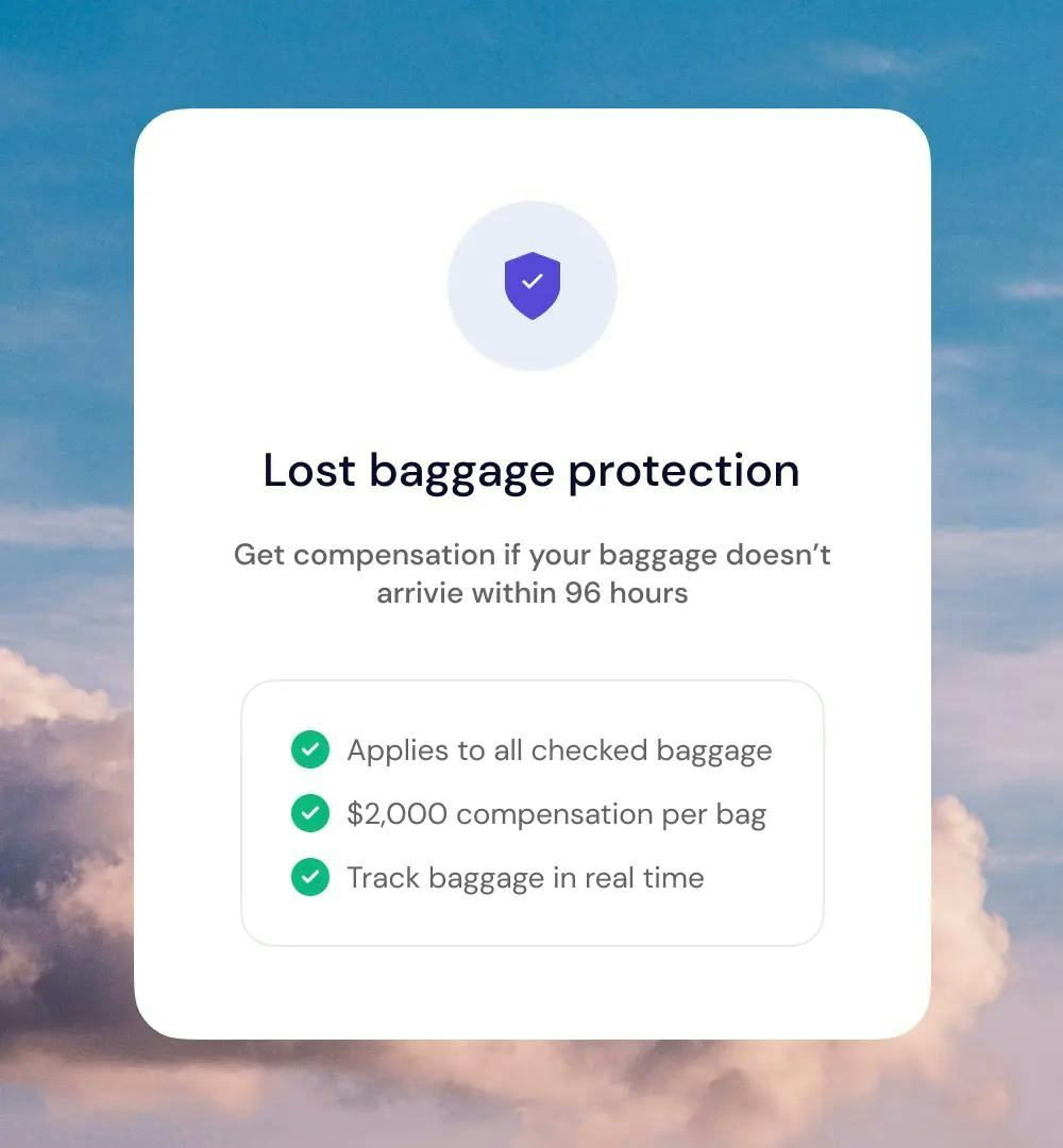 About Lost Baggage Protection