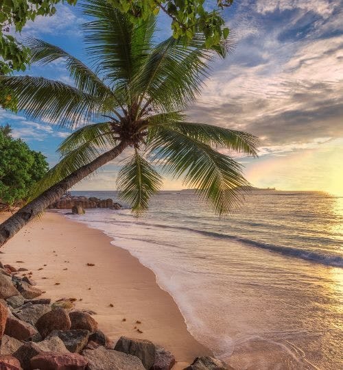 Beach in Jamaica at Sunset