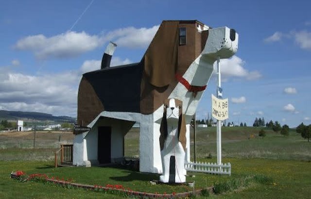A structure that has been made to look like a large dog, which is available to rent as an AirBnb