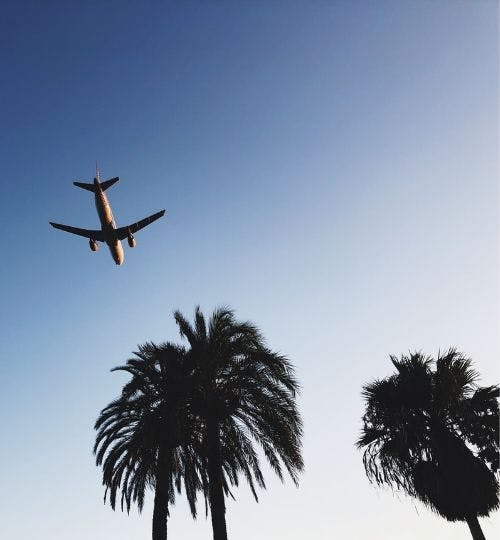 Picture of an airplane in the sky with palm trees