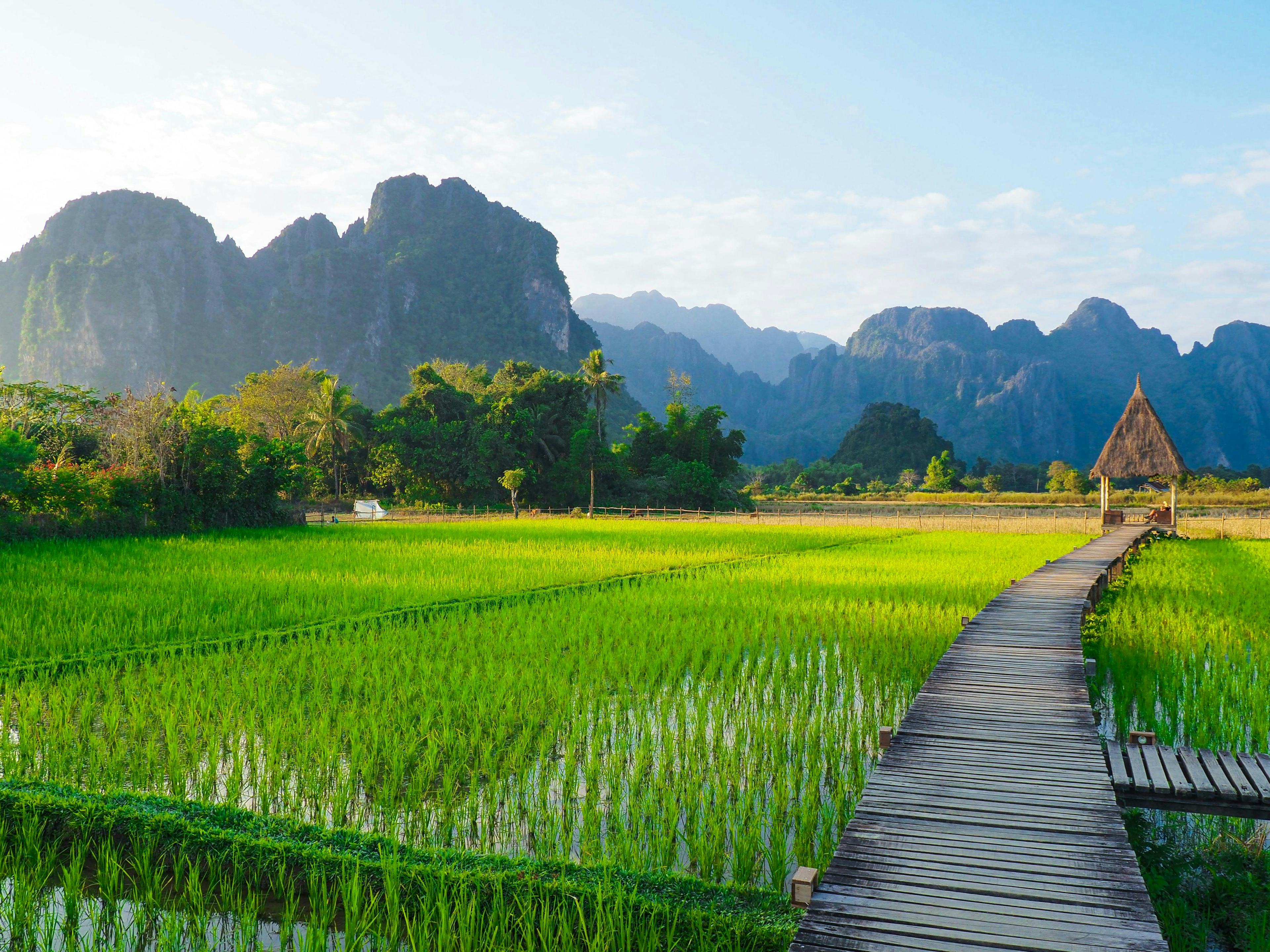 Green rice fields in Laos surrounded by mountain ranges 