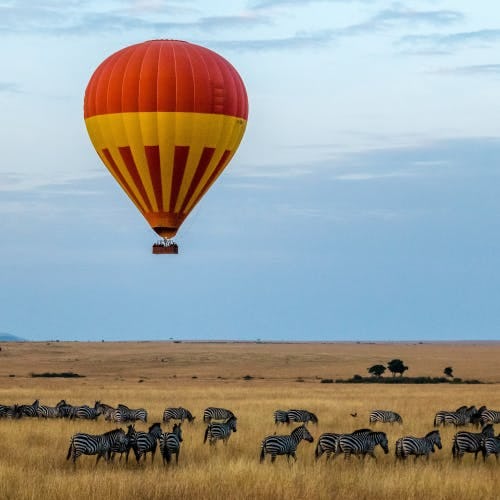 Hot air balloon over a herd of zebras.