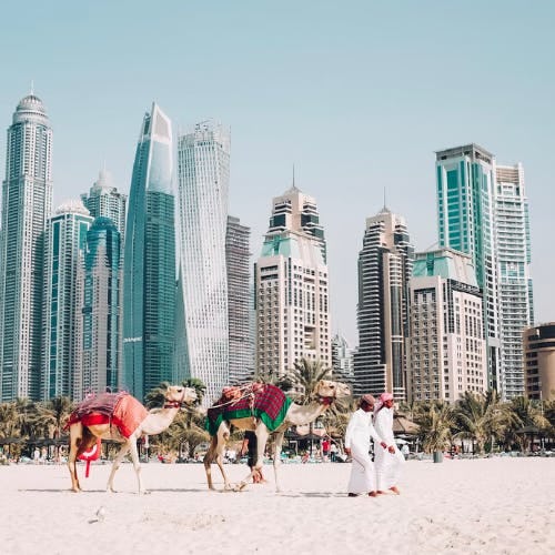 2 camels and 2 men walking along the sandy beach in Dubai