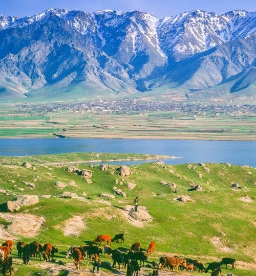 Countryside of Uzbekistan