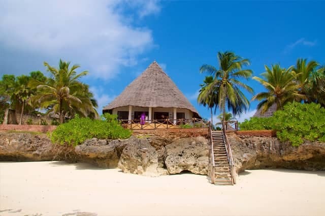 Zanzibari beach with a hut and palm trees