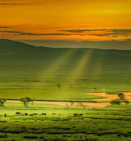 Mongolian landscape at sunset