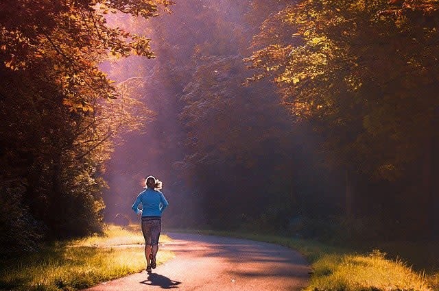 a jogger running down a pathway through trees in warm sunlight 