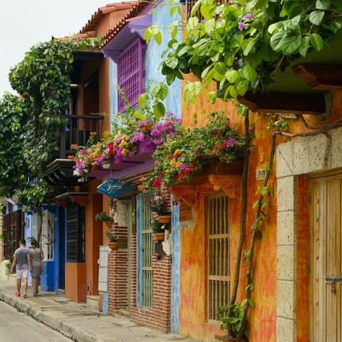 Colour houses in Medellín. There are a flowers scattered around the houses