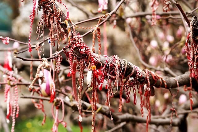 A close up shot of traditional Martenitsa bands hanging from a magnolia tree
