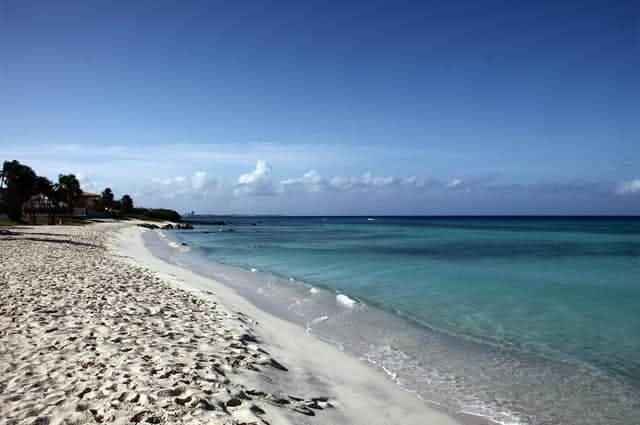 Aruba's sandy beach in the caribbeans