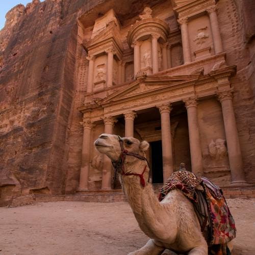 Camel laying on the floor in petra