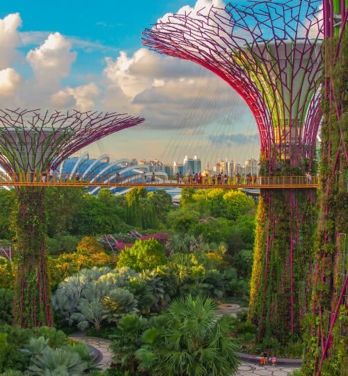Super Tree Grove at Gardens by the Bay in Singapore