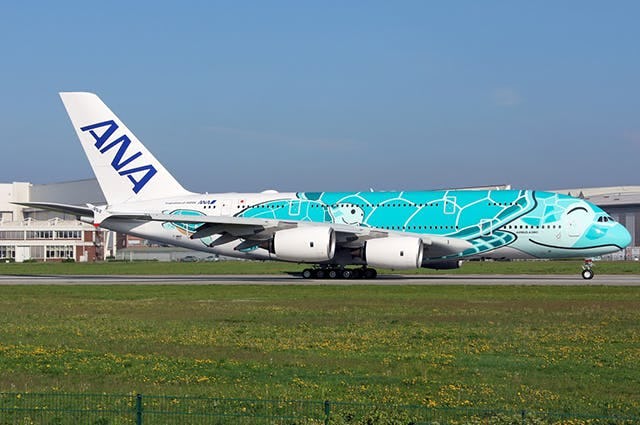 An ANA Airbus A380 in Turtle Livery. Photo credit Perry Hoppe