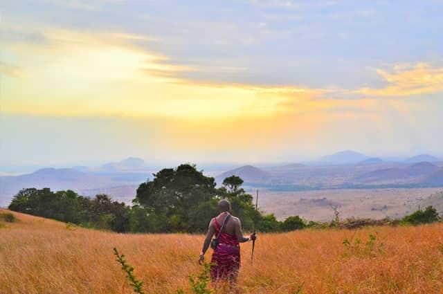 A villager from Nairobi, Kenya, walking through the tall grasses of the landscape. 