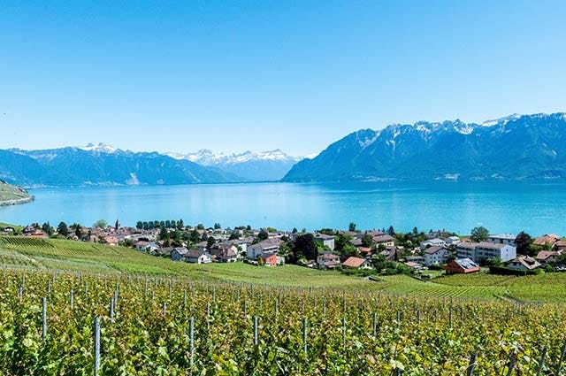 A view down across the vineyards and nearby down on the shores of Lake Geneva with mountain ranges in the distance.
