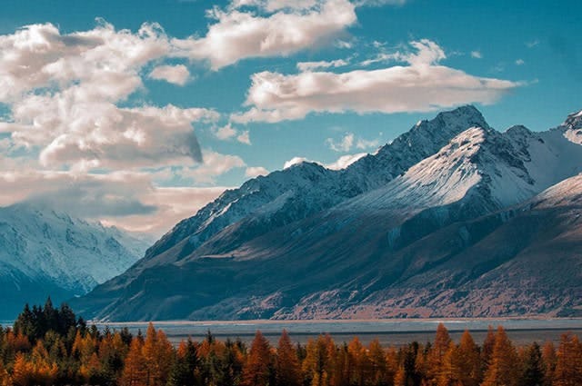 A mountain view with dark red trees during Fall. Lake Pukaki, Christchurch, New Zealand