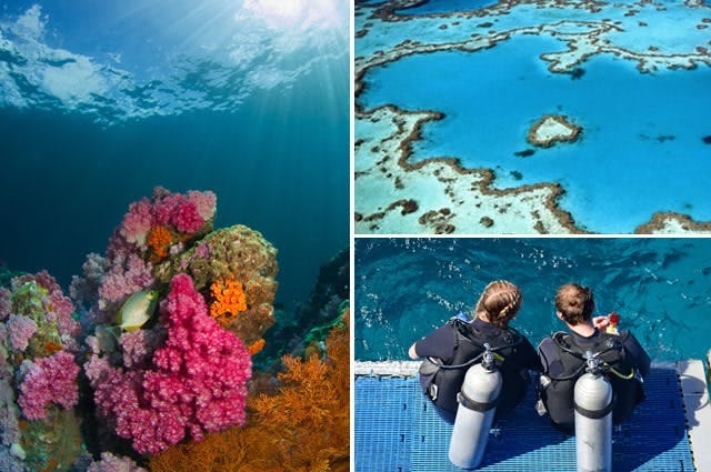 A collection of pictures showing the blue seas and colourful coral reefs of the Great Barrier Reef