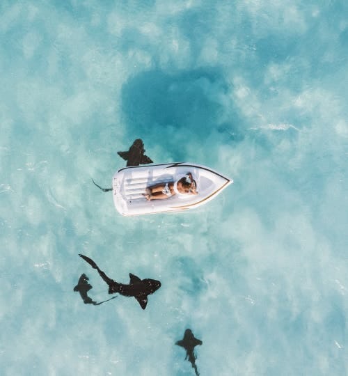 Floating over nurse sharks in the Bahamas on Great Exuma