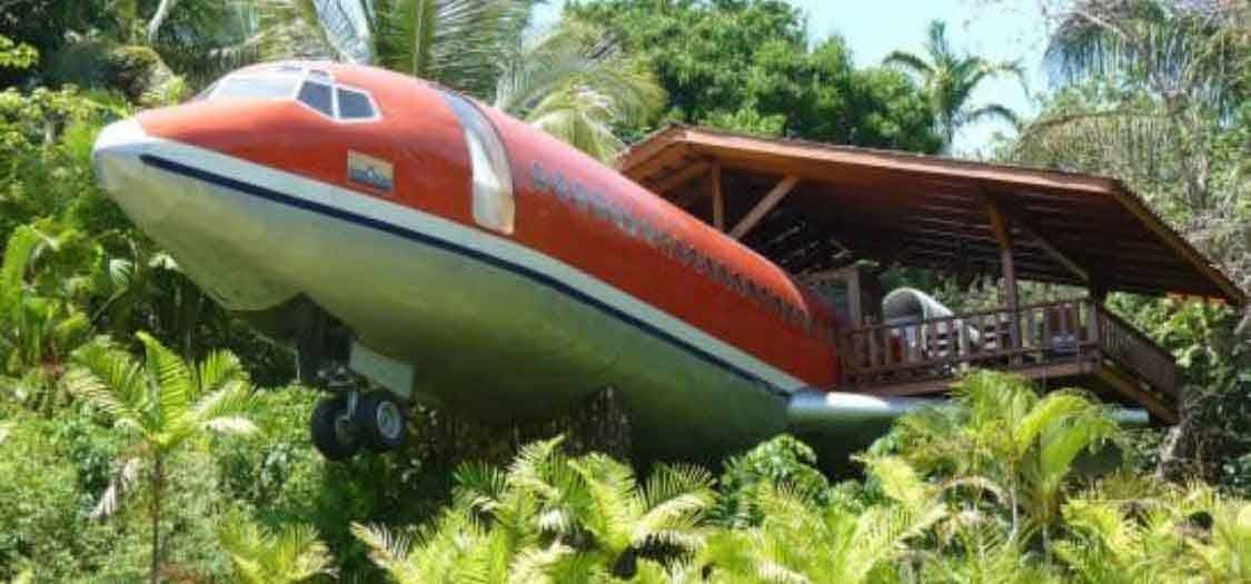 A plane that has been converted into an Airbnb property to stay in Costa Rica. Surrounded by luscious green foliage 