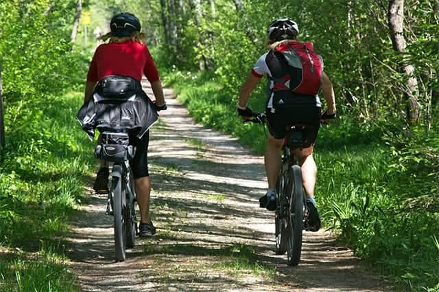 2 cyclists riding through a forest