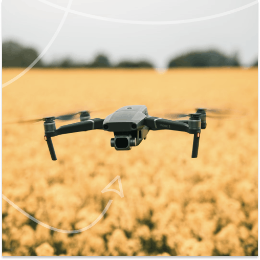 Drone flying in a field full of yellow flowers