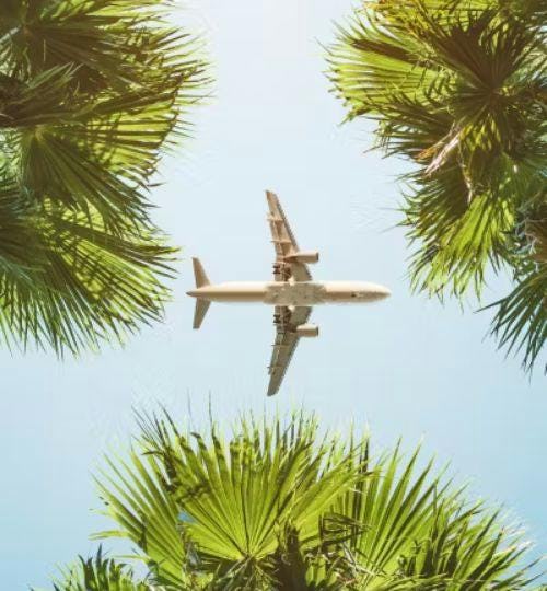 Airplane in the sky with palm trees