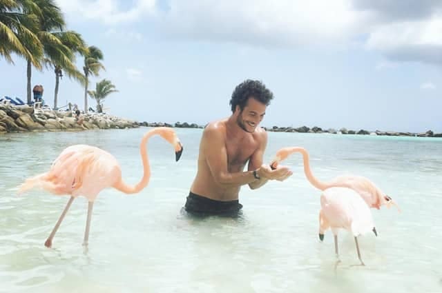 A man feeding pink flamingos in the sea 