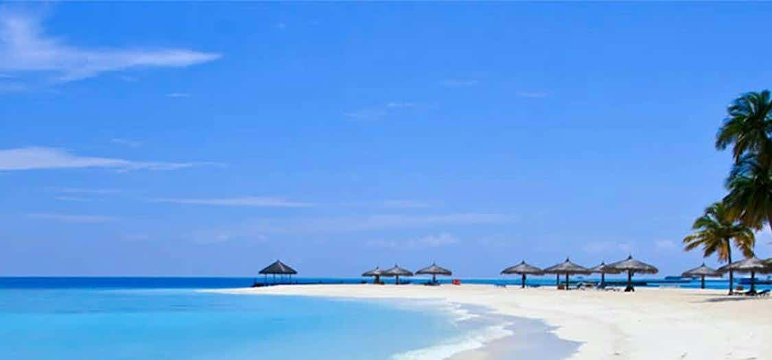 Sandy caribbean beach island with palm trees