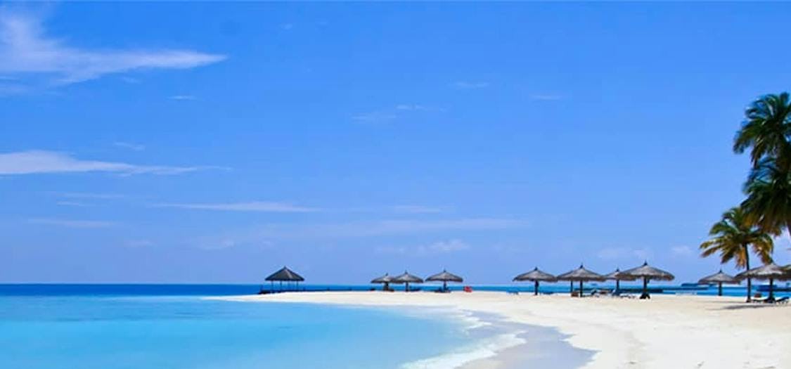 Sandy caribbean beach island with palm trees