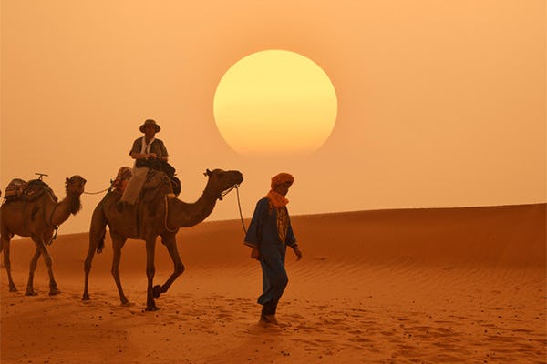 Men riding camels in the Moroccan desert with sunset in horizon