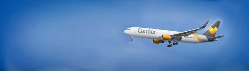 Condor flights